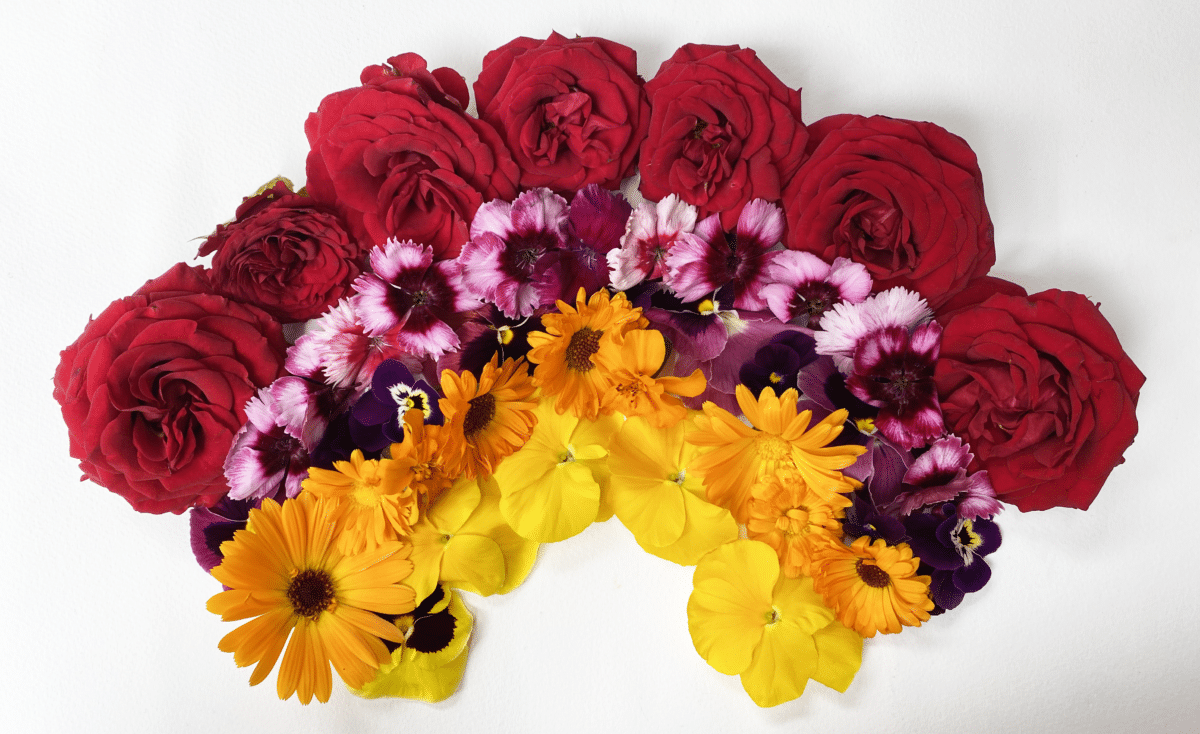 colourful mixed flower arrangement in the shape of a rainbow