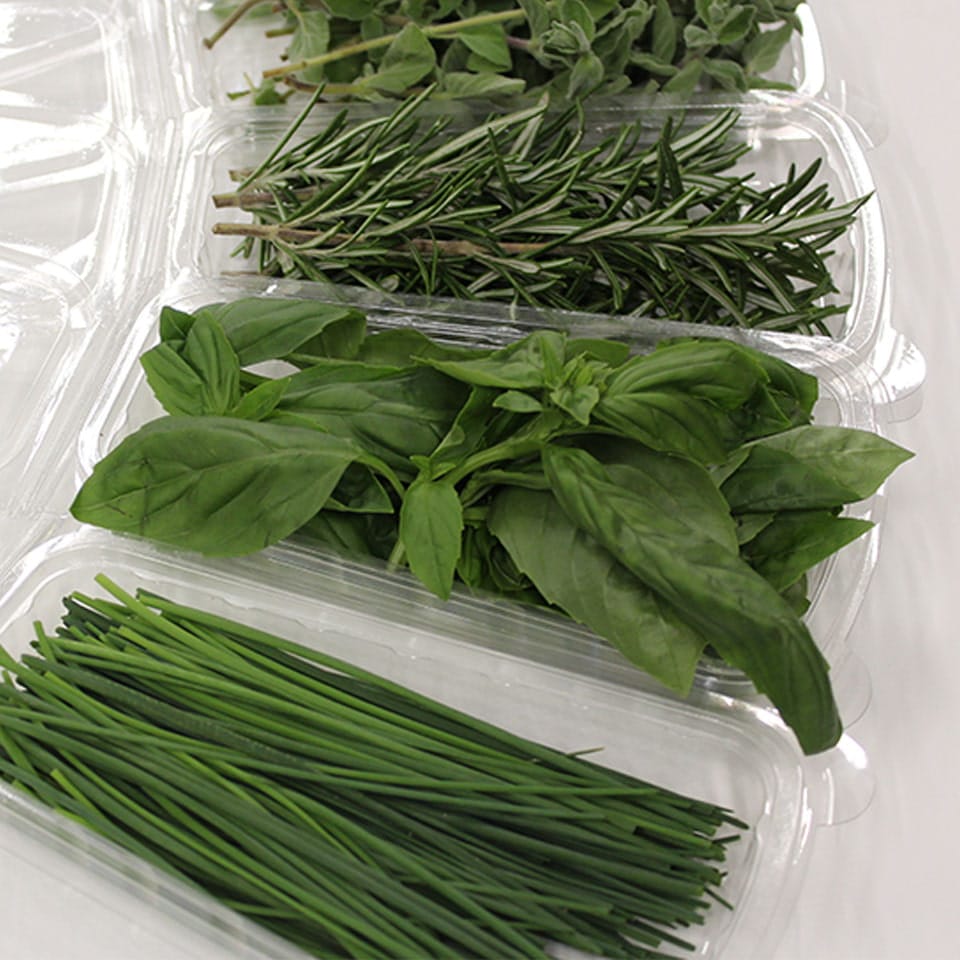 bunched chives and basil herbs