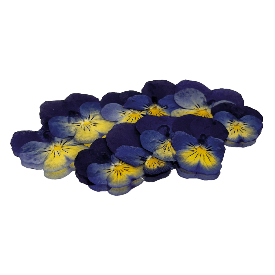 Blue & Yellow Pressed Viola Edible Flowers