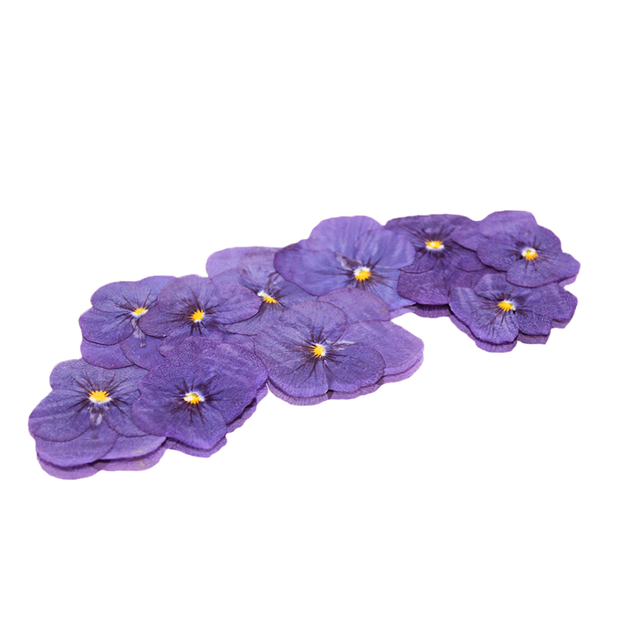 Pale Purple Pressed Violas