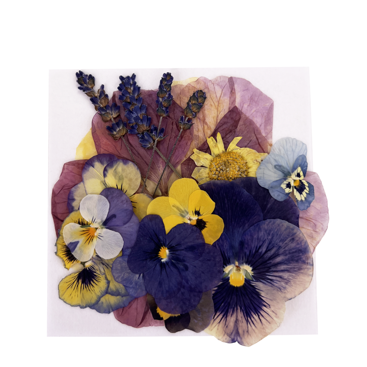 Pressed Edible Flower Selection