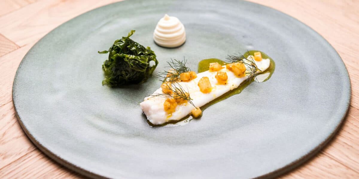 Sea Vegetable sea lettuce accompanying cod with dill