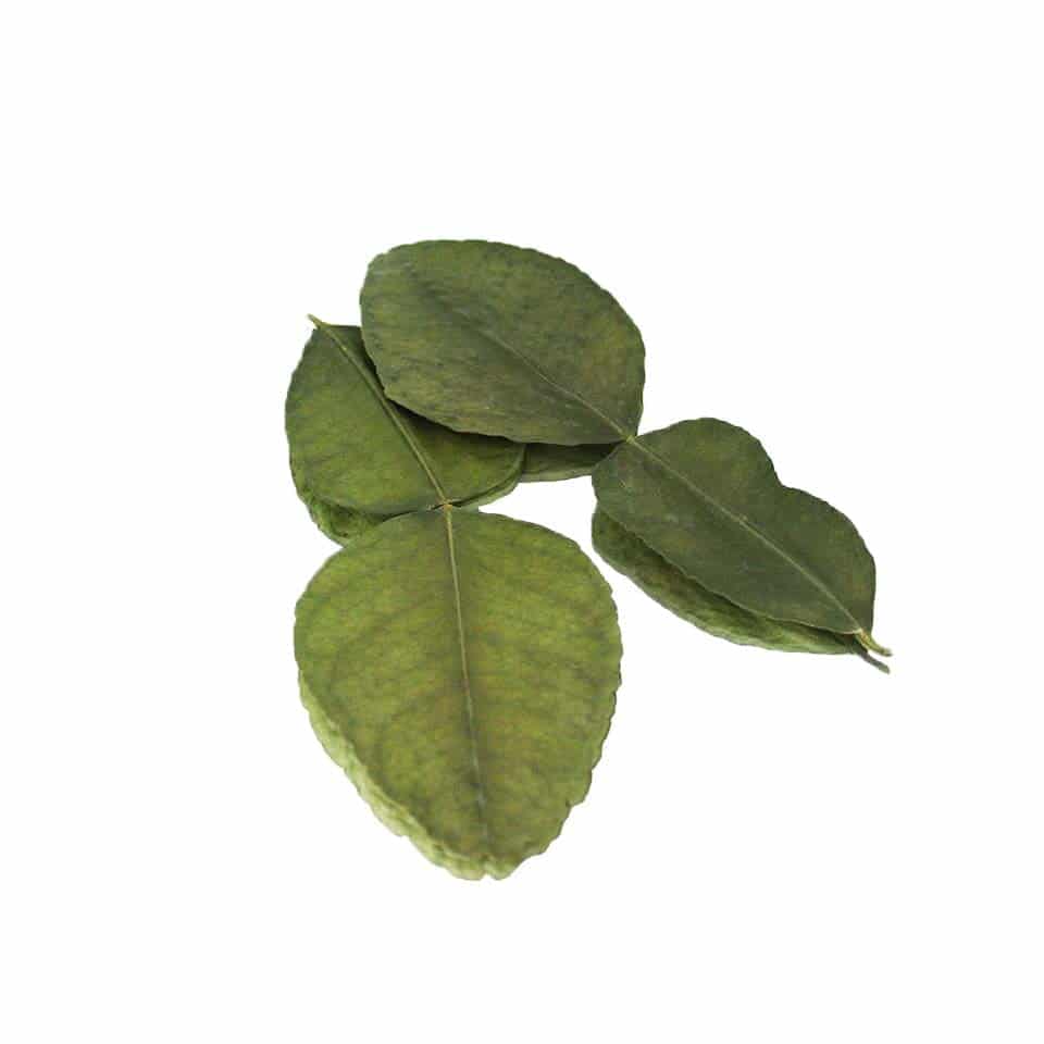 kaffir lime pressed edible leaves