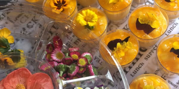 collection of edible flowers used to decorate desserts and main courses