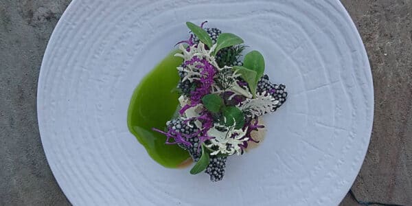 Micro purple kale Cress used to garnish a bright summer dish