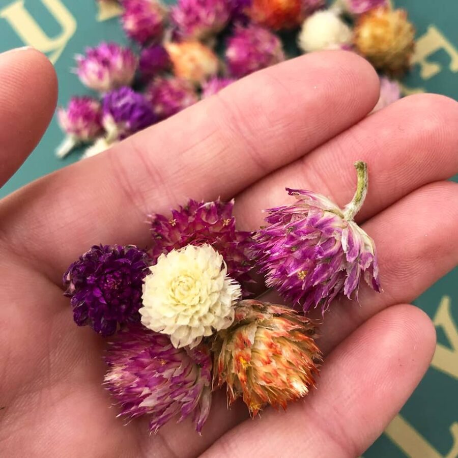 mixed dried amaranth edible flowers