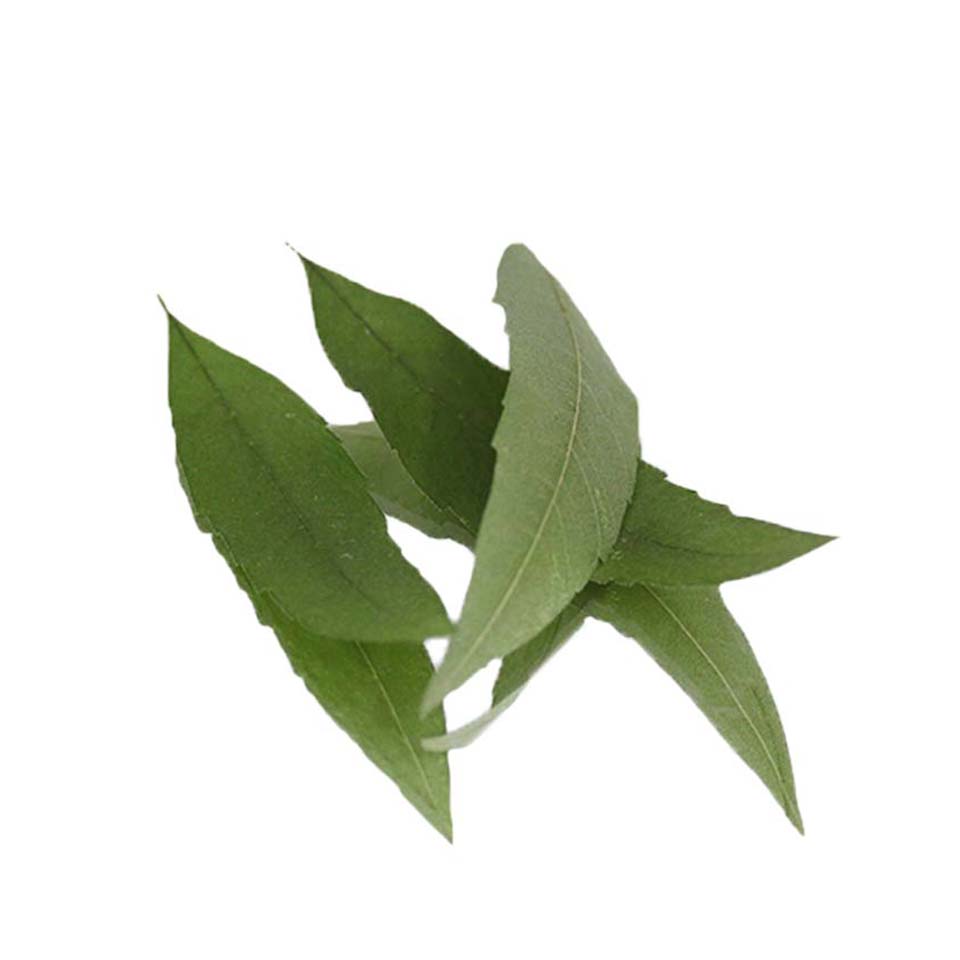 lemon verbena pressed edible leaf