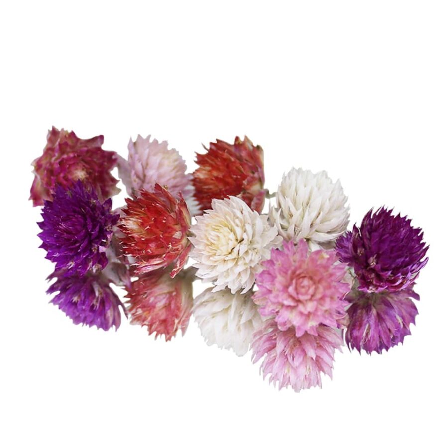 mixed amaranth pom pom dried edible flowers for cake decoration