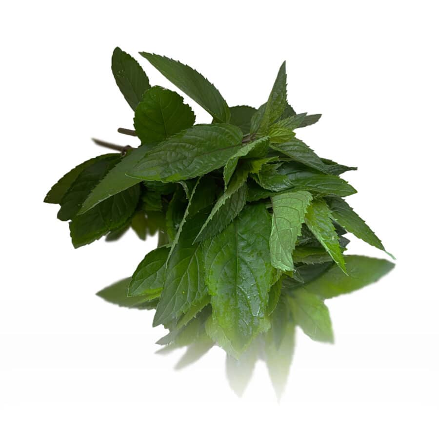 peppermint bunched herb
