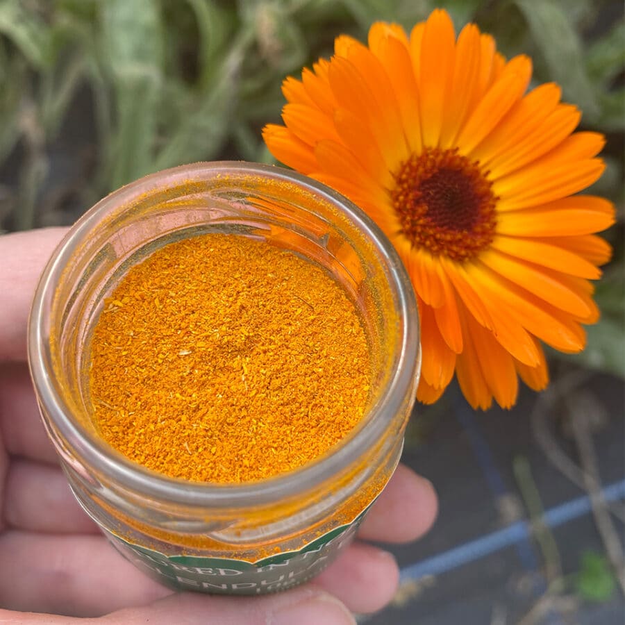 calendula orange edible flowers dusting powder