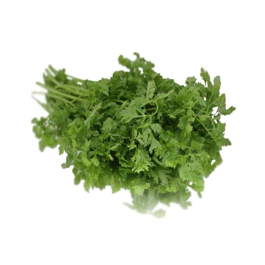 bunched chervil herb