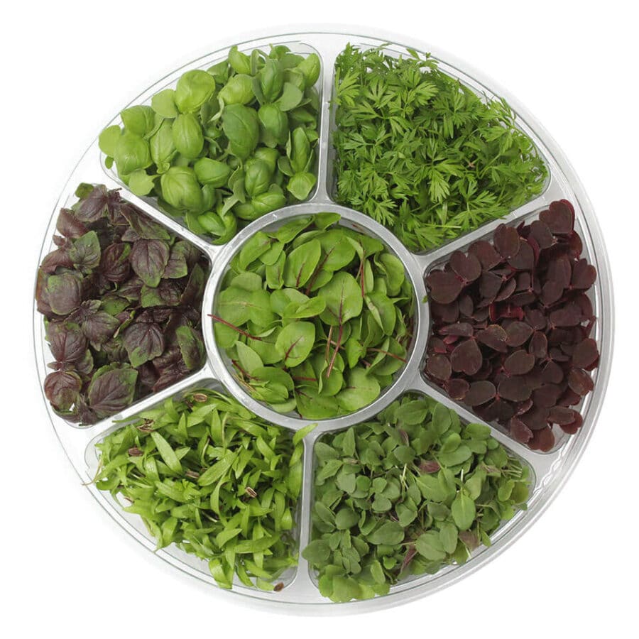 micro cress selection wheel (micro herbs)