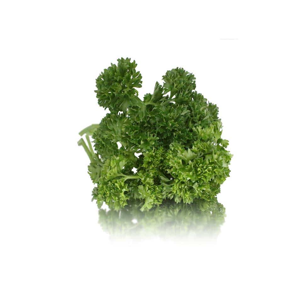 bunched curly parsley herbs