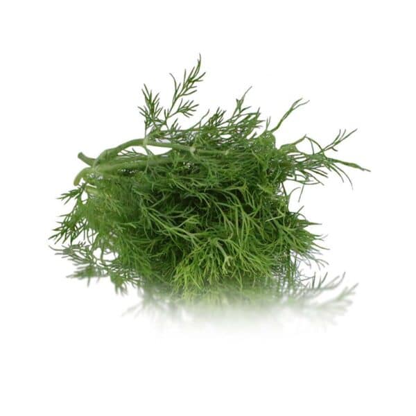 dill bunched herb