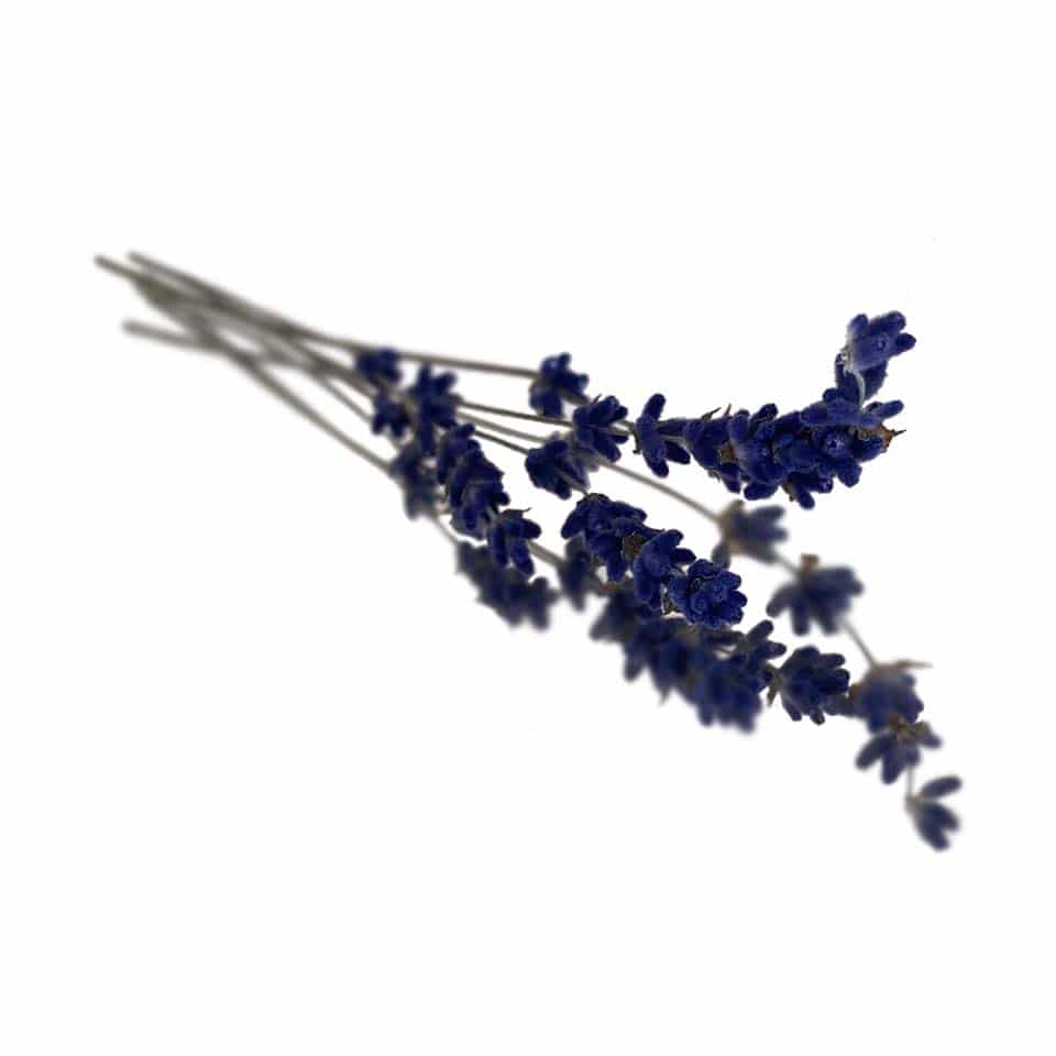 dried lavender edible flowers for cake decorating