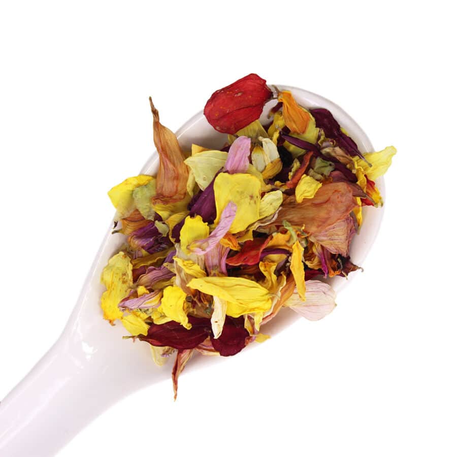 dried dahlia edible flowers on a white spoon