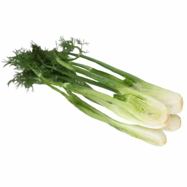 baby fennel vegetables