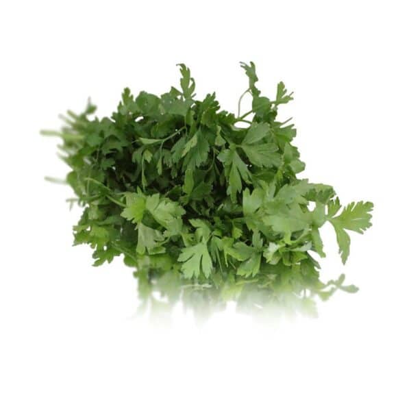 flat parsley bunched herb