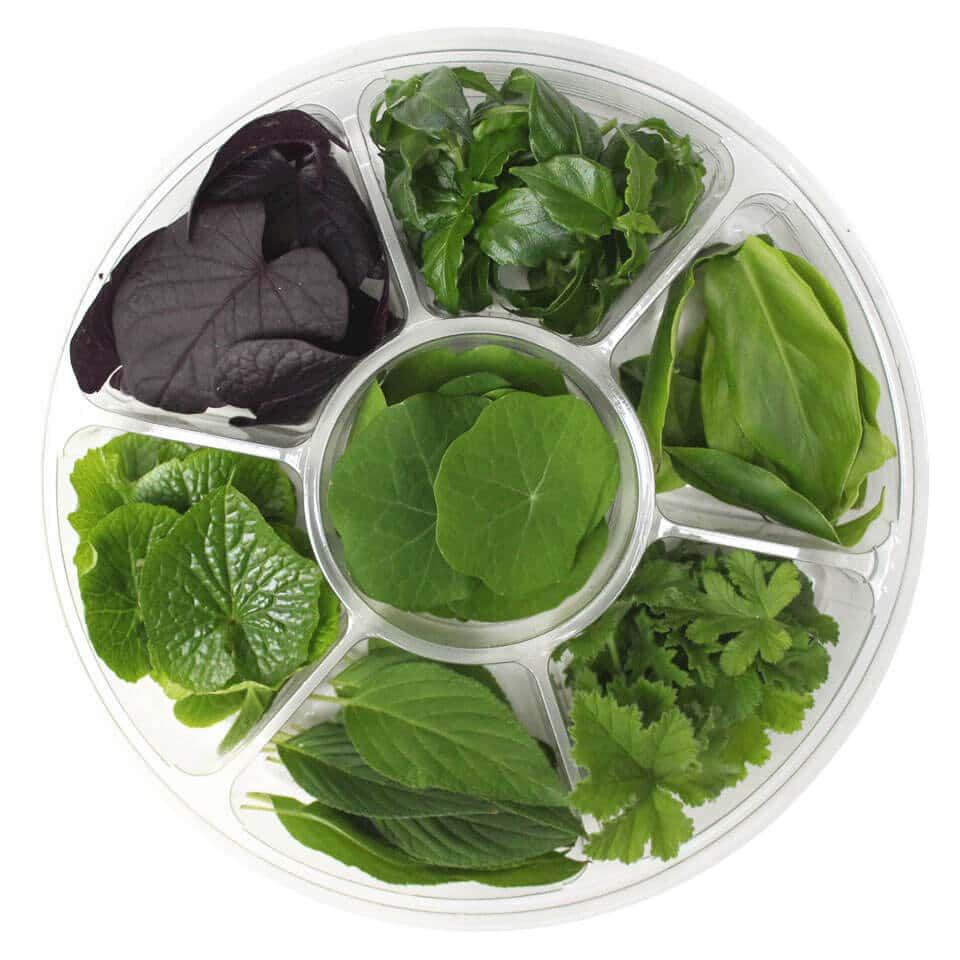 edible leaves selection wheel