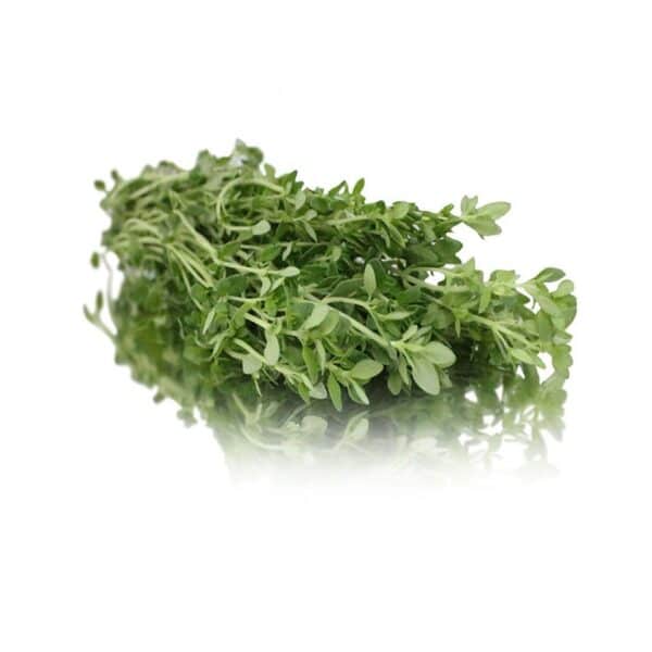 bunched lemon thyme herbs