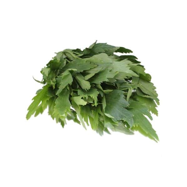 lovage bunched herb