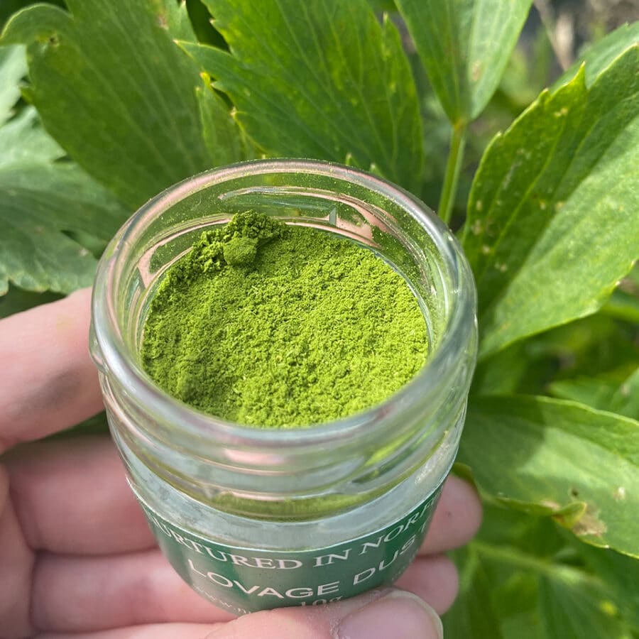 lovage bunched herbs dusting powder