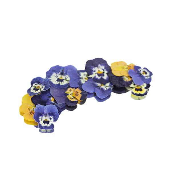 pressed edible flowers, miniature violas