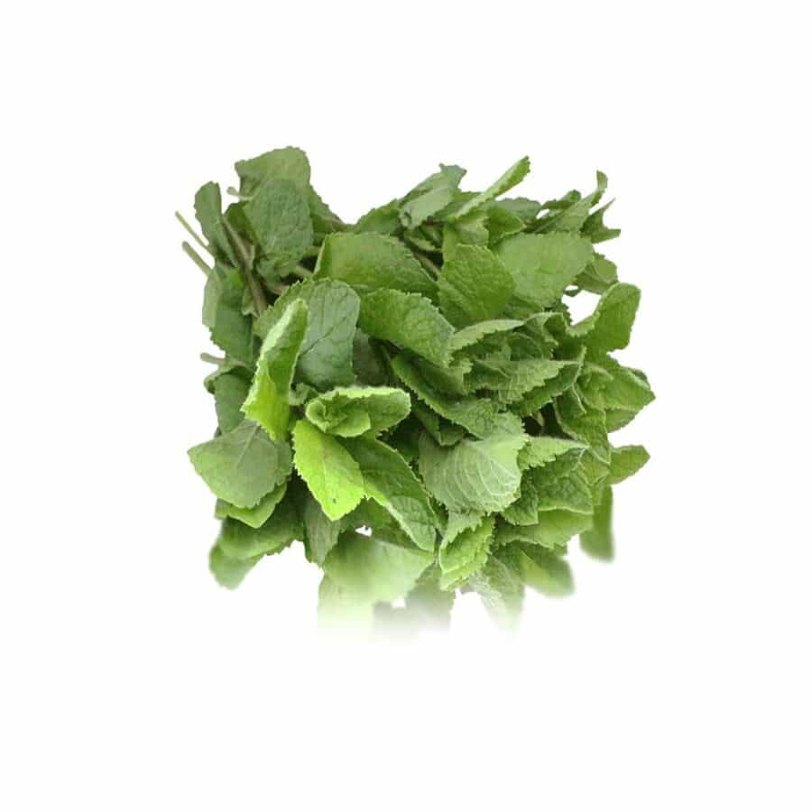 mint bunched herb