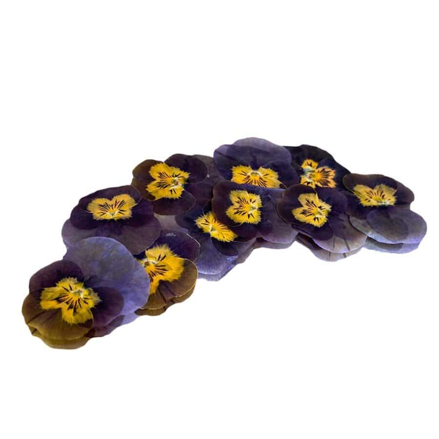burgundy and yellow edible pressed viola flowers