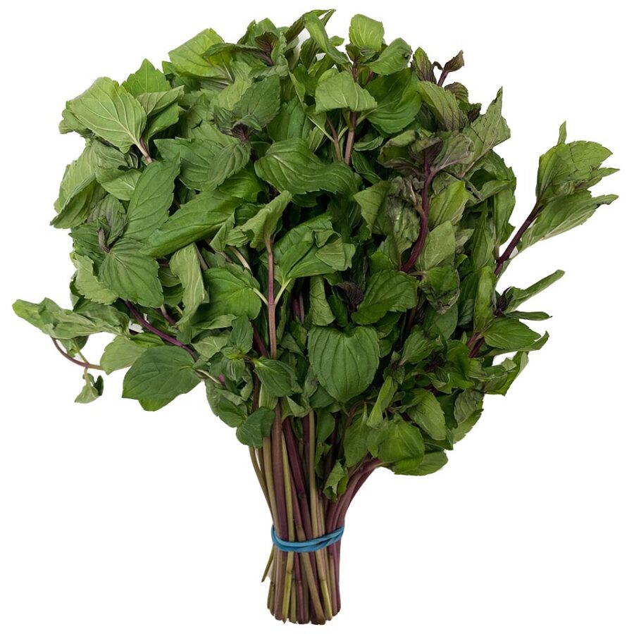 peppermint bunched herbs