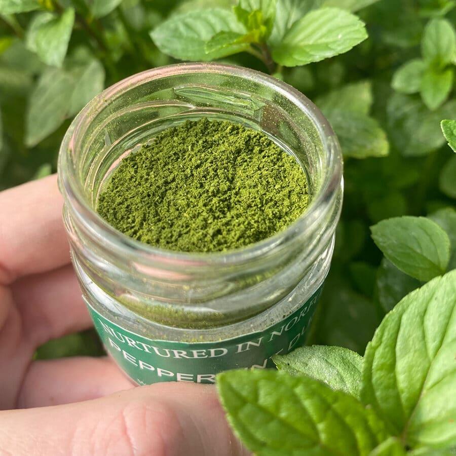 peppermint bunched herbs dusting powder