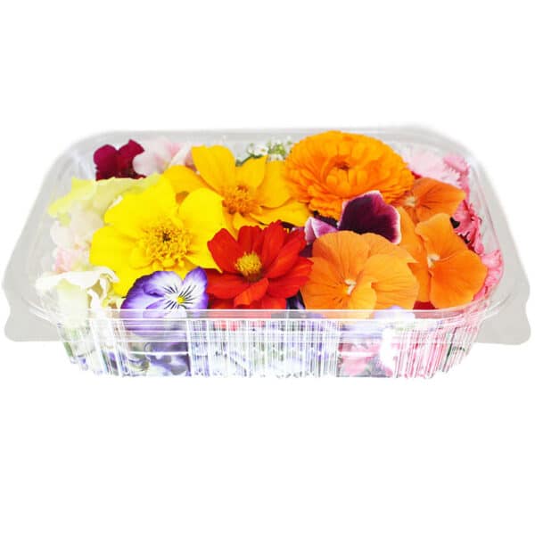 fresh mix of edible flowers for cake decorating