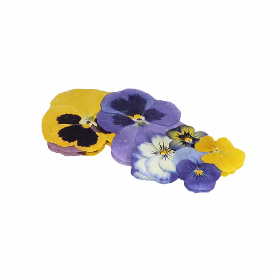 pressed edible flowers for cakes