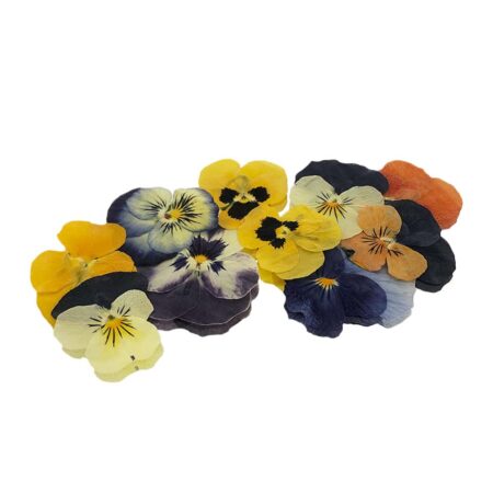 colourful pressed edible viola flowers