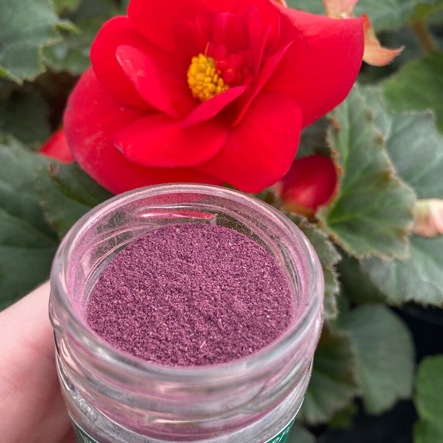 rose edible flowers dusting powder