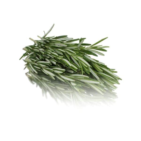 Rosemary bunched herbs