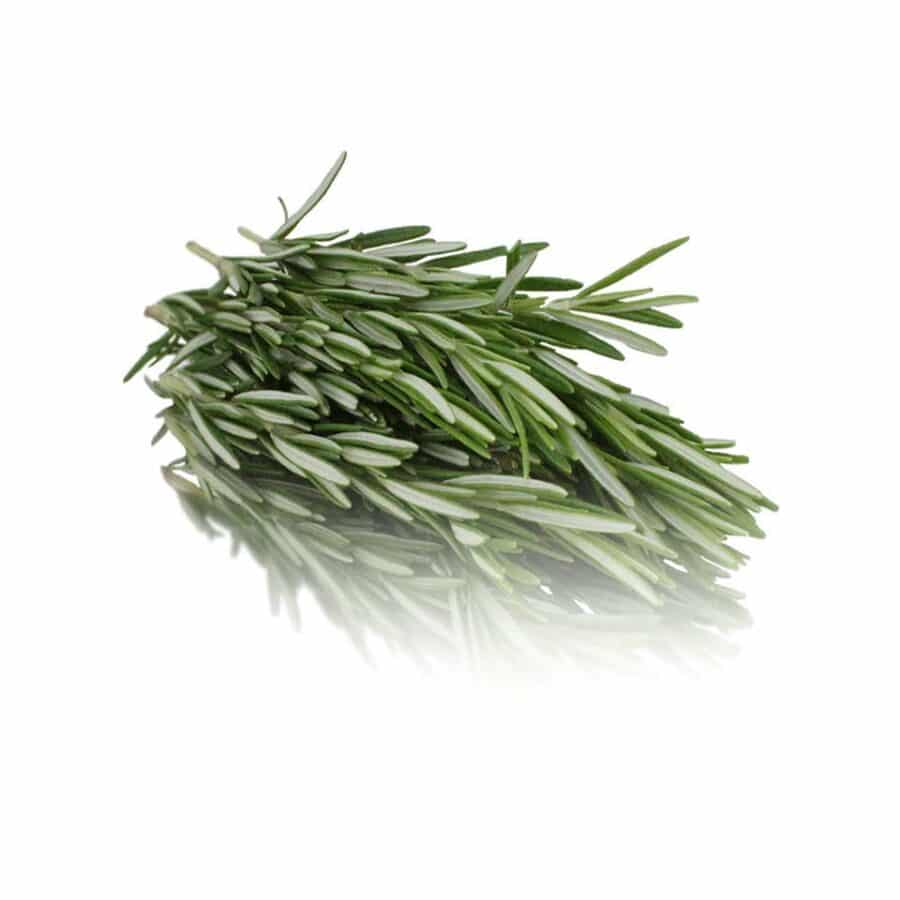 Rosemary bunched herbs