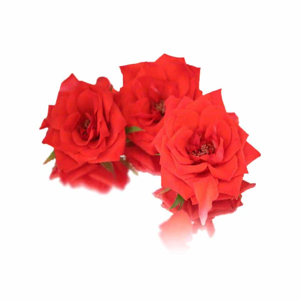 fresh red rose edible flowers