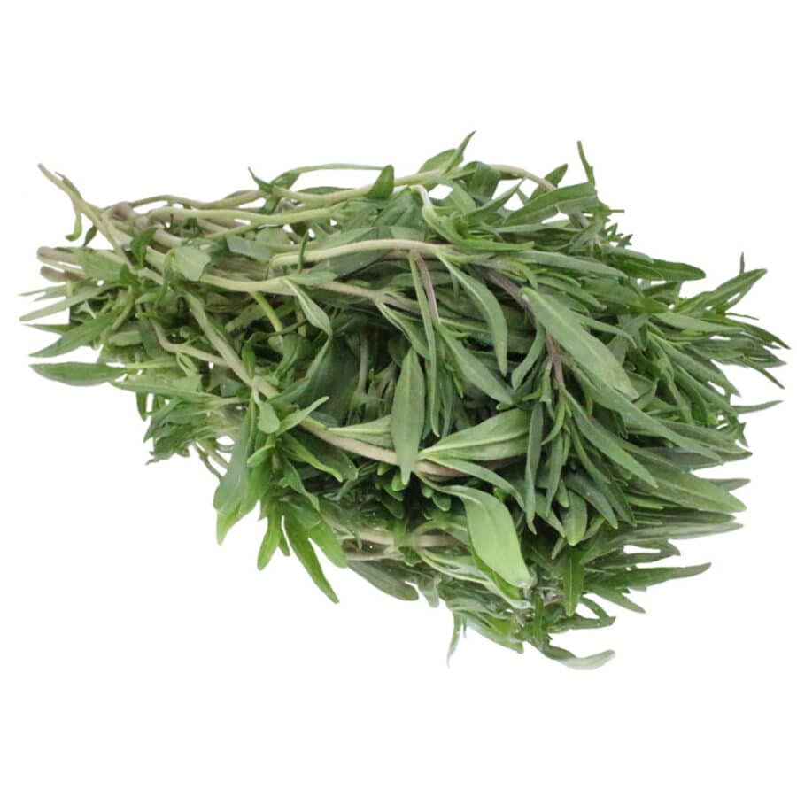 savory bunched herb