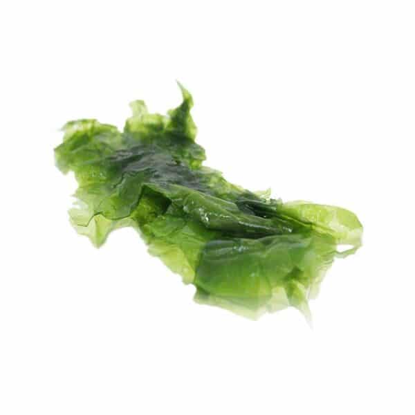 sea lettuce sea veg, also known as seaweed