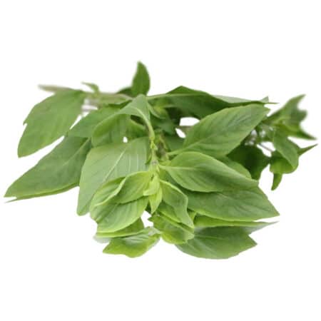 thai basil bunched herb