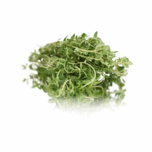 thyme bunched herb