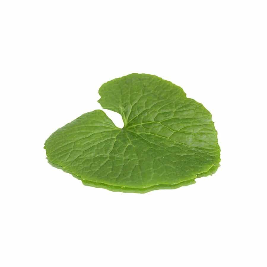 wasabi edible leaves