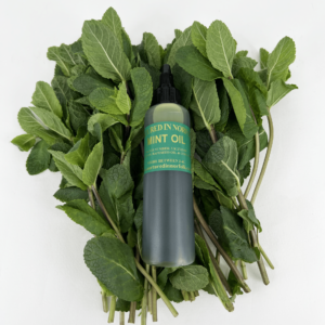 Mint Herb Oil laying on some fresh Mint leaves