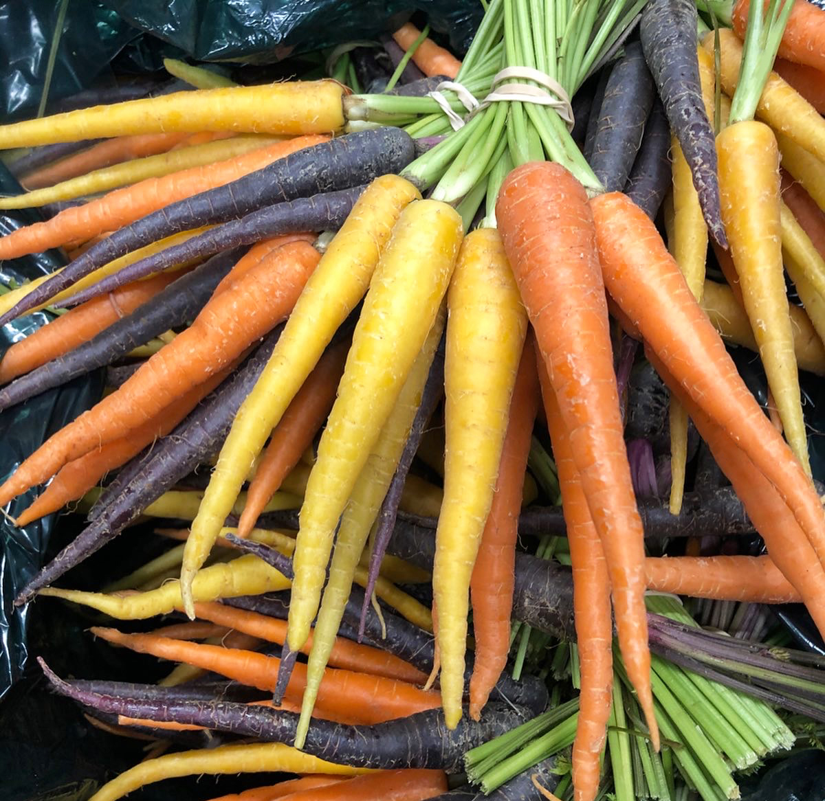 Bunch of Rainbow Carrots