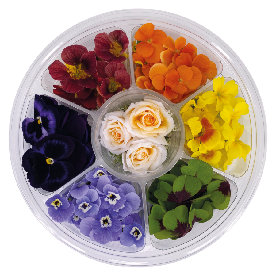 Pride Month Edible Flower Rainbow Wheel