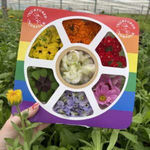 Pride Rainbow edible flowers and edible leaves