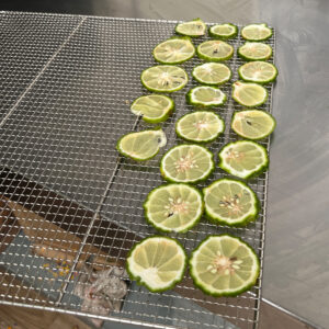 dried lime slices