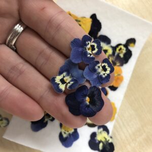 Miniature Pressed Viola Edible Flowers