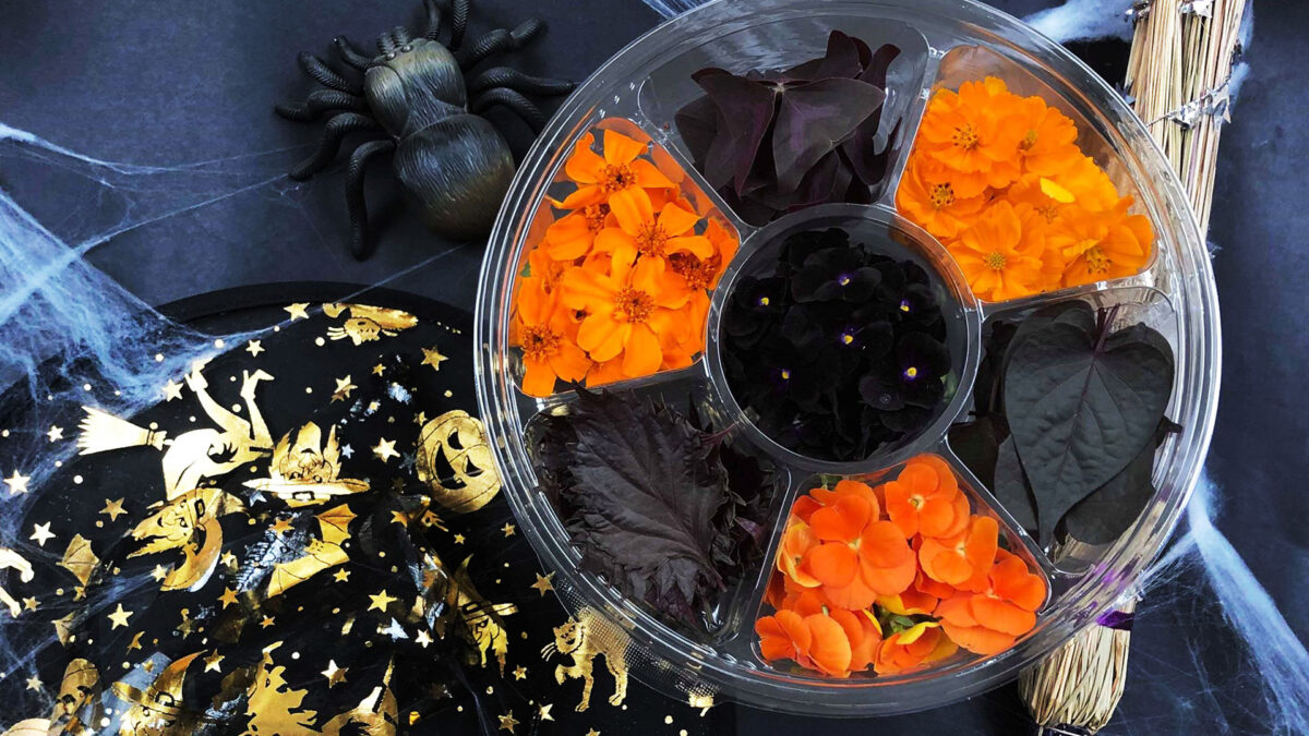 Edible Flowers for Halloween